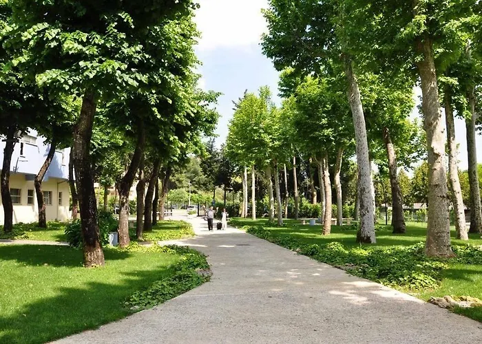 Hotel Fontana Olente 3*